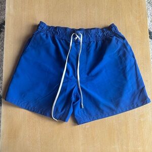 2(X)IST Blue Lined Swim Trunks - Medium